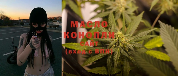 твердый Гусев