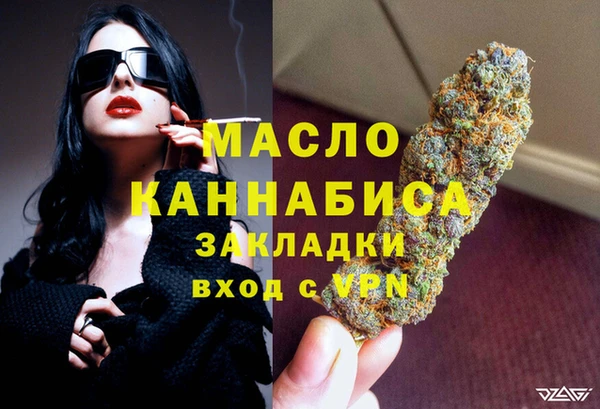 твердый Гусев
