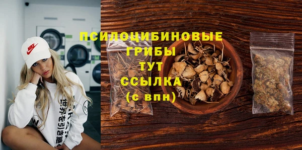 молекула духа Гусиноозёрск