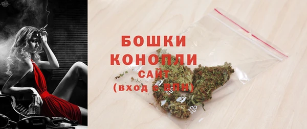 молекула духа Гусиноозёрск