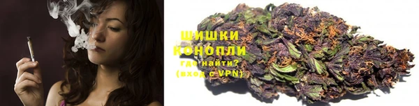 молекула духа Гусиноозёрск