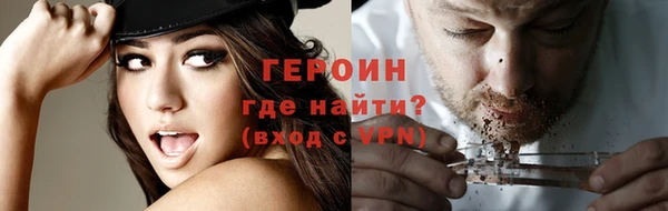 твердый Гусев