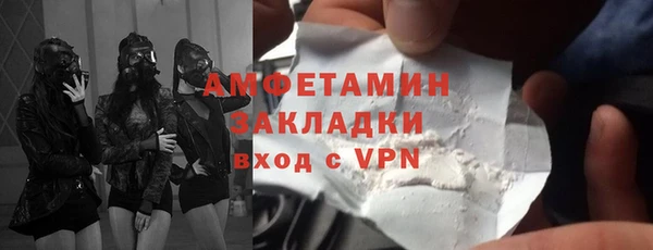твердый Гусев
