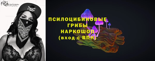 молекула духа Гусиноозёрск