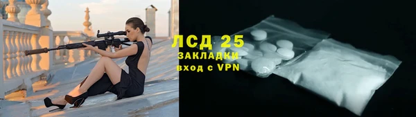 твердый Гусев