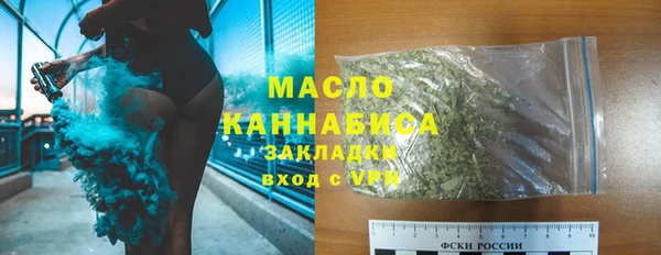 твердый Гусев